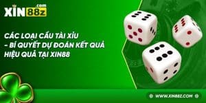 Các Loại Cầu Tài Xỉu - Bí Quyết Dự Đoán Kết Quả Hiệu Quả Tại XIN88